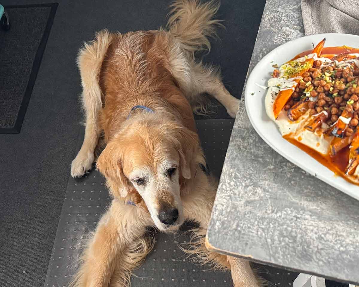 Dozer-shoot-room-6-June-2025-1