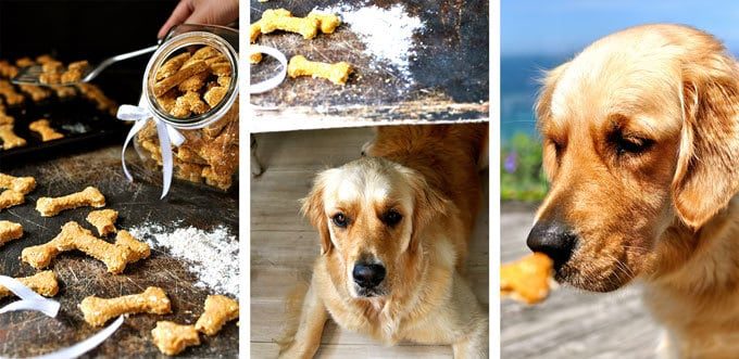 Dozer-Homemade-Biscuits