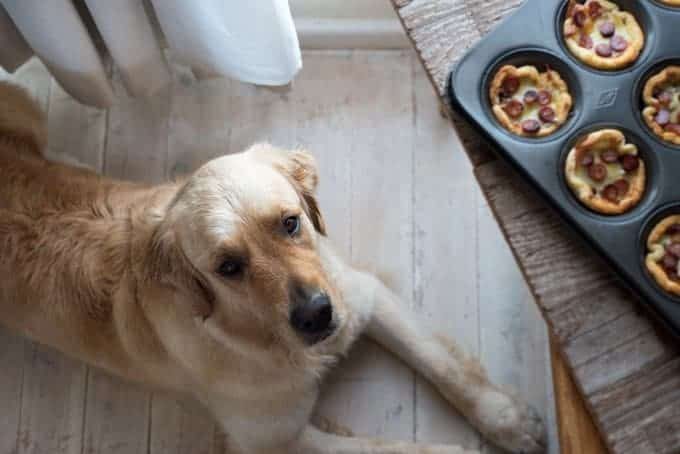 Garlic Bread Mini Pizza (Muffin Tin) - Dozer