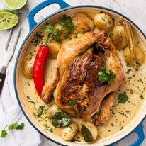 Fragrant Coconut Pot Roasted Chicken - Juicy Chicken roasted in a fragrant Asian-style coconut broth. Amazing flavor for so few ingredients! Substitutions provided.
