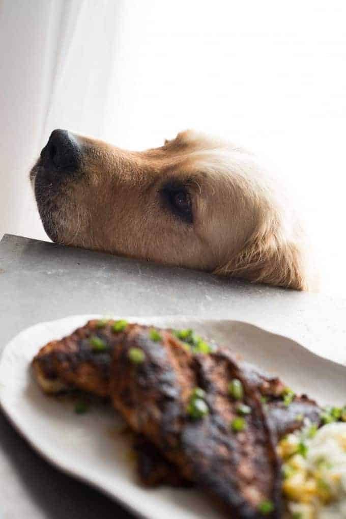 Cajun Blackened Fish - An incredible flavour explosion, so easy to make!