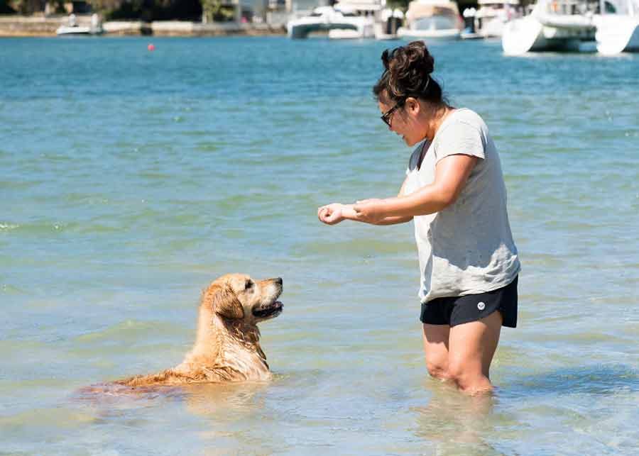 Nagi RecipeTin Eats and Dozer the golden retriever dog at Bayview dog park