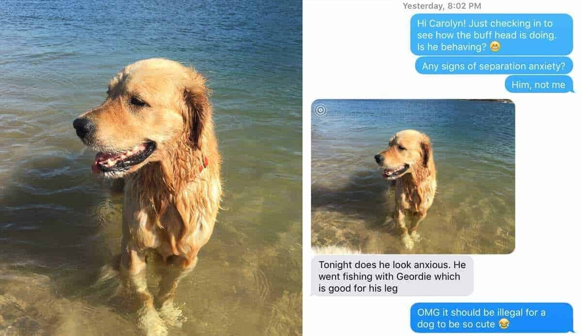 Dozer in the water at Bayview