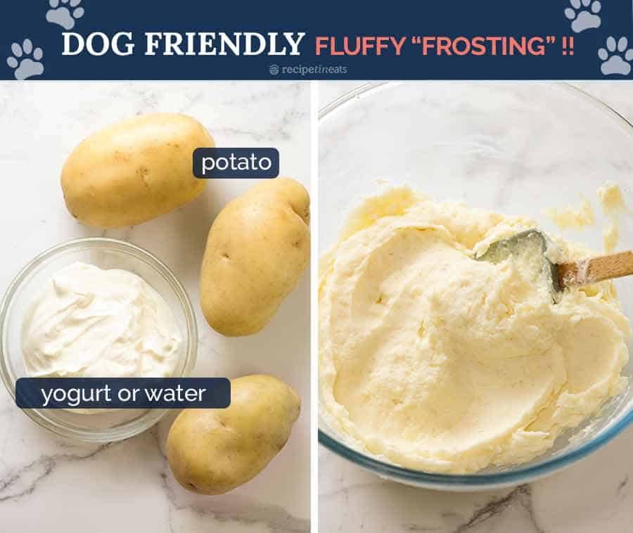 Dog cake frosting