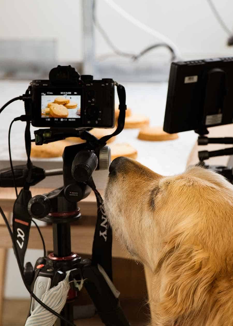 Dozer white chocolate macadamia nut cookies video