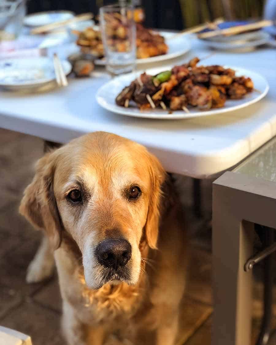 Dozer yakitori team lunch