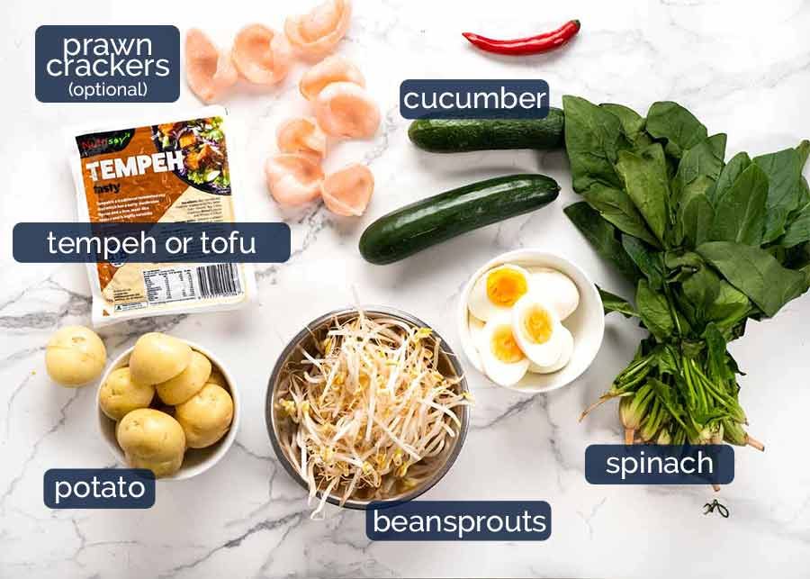 Ingredients in Gado Gado Salad