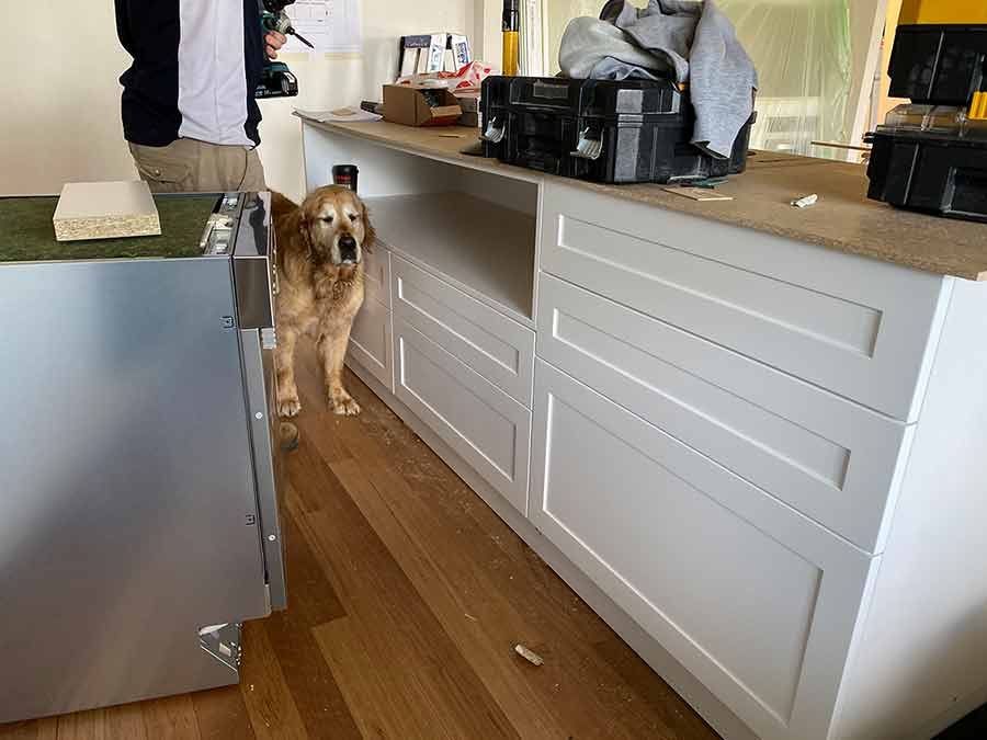 Dozer in new kitchen under construction