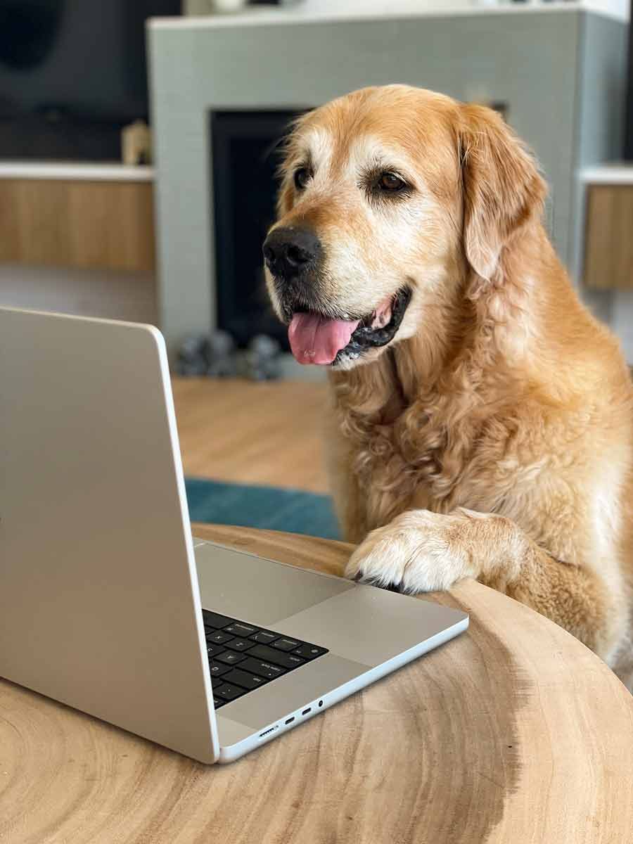 Dozer knife cookbook giveaway