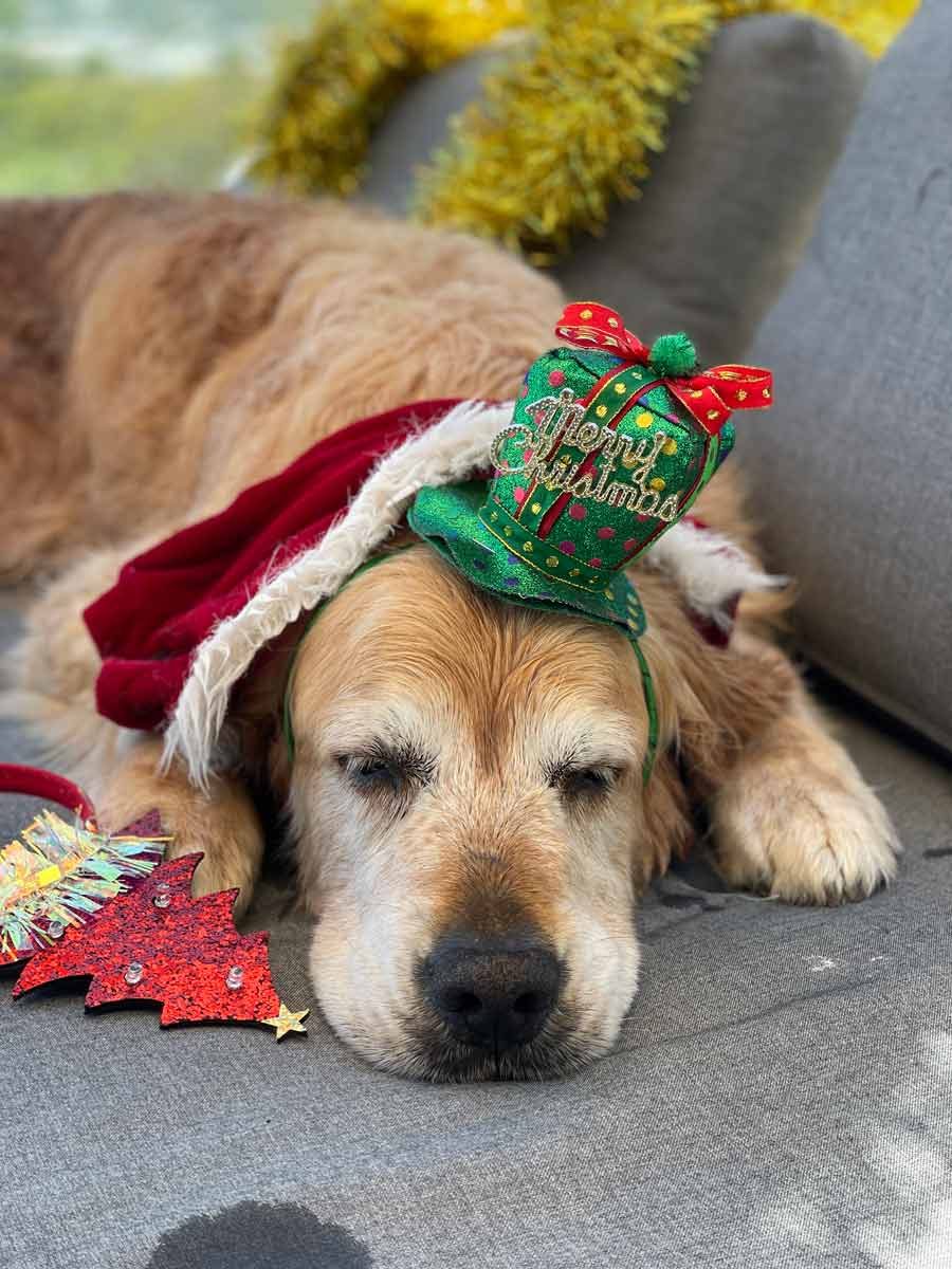 Nagi Dozer Christmas selfie 2022