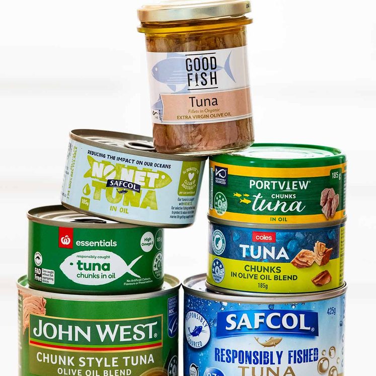 Canned tuna brands