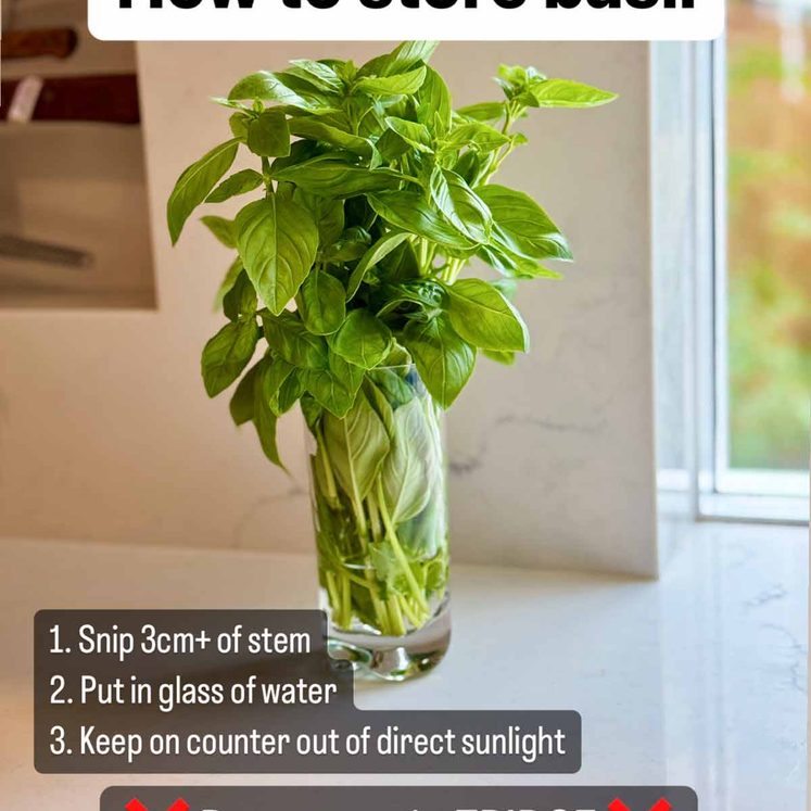 How to store basil